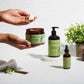 Pack Routine Capillaire Fortifiante